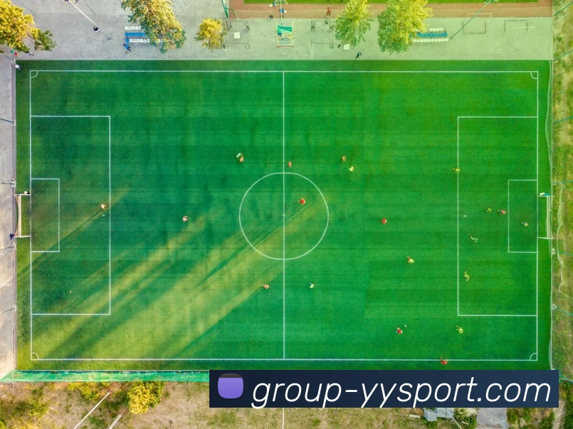 易游体育平台生态图